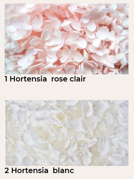 La bougie Hortensia